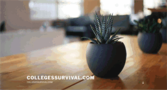 Desktop Screenshot of collegessurvival.com